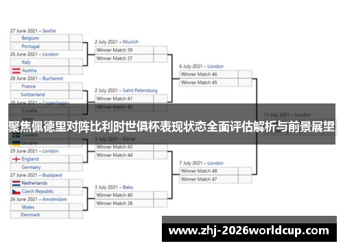 聚焦佩德里对阵比利时世俱杯表现状态全面评估解析与前景展望