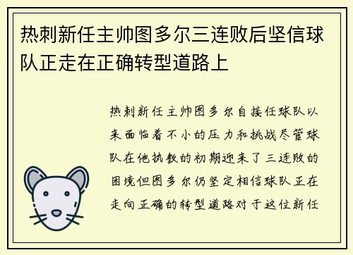 热刺新任主帅图多尔三连败后坚信球队正走在正确转型道路上